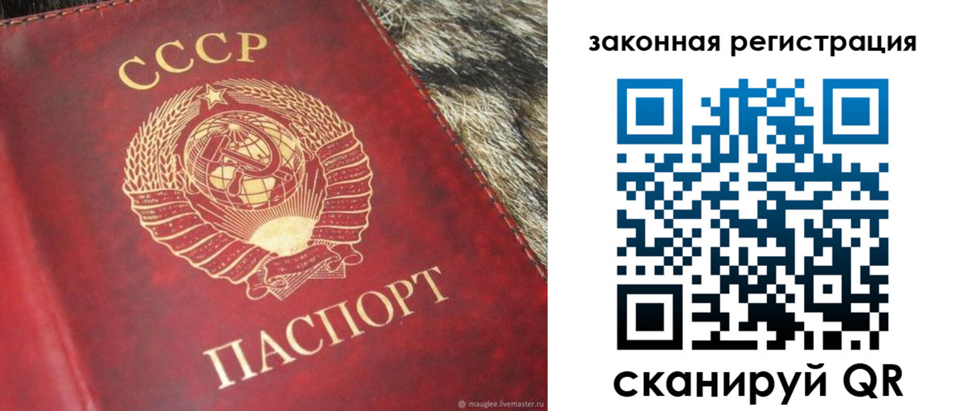 прописка от собственника в Бавлах
